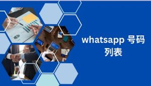 whatsapp 号码列表